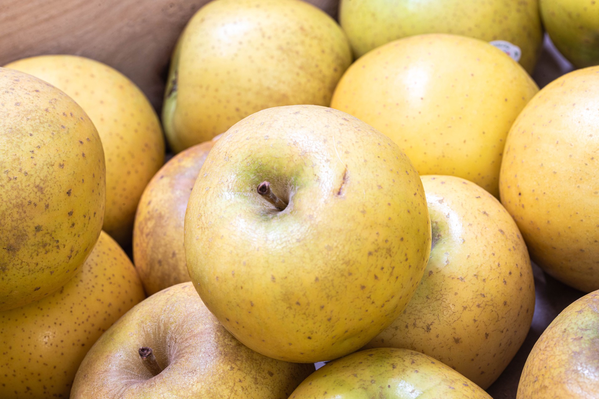 Pommes en vente sur un étal de marché ou de supermarché.